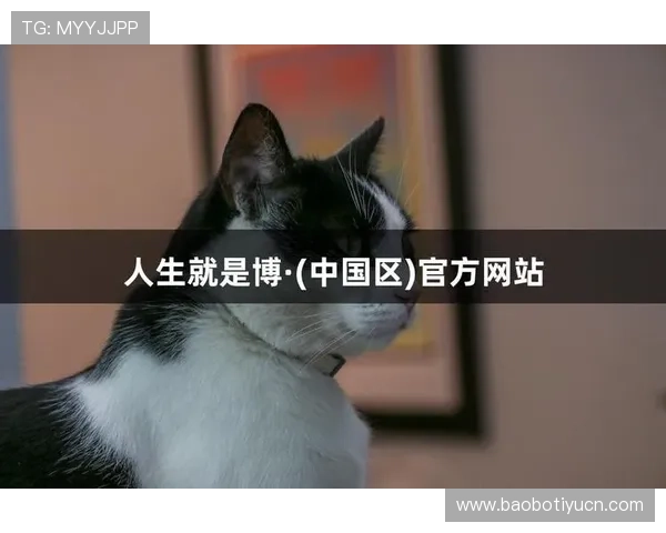 尊龙人生就是博网址为玩家打造安全稳定的游戏环境与优质服务体验