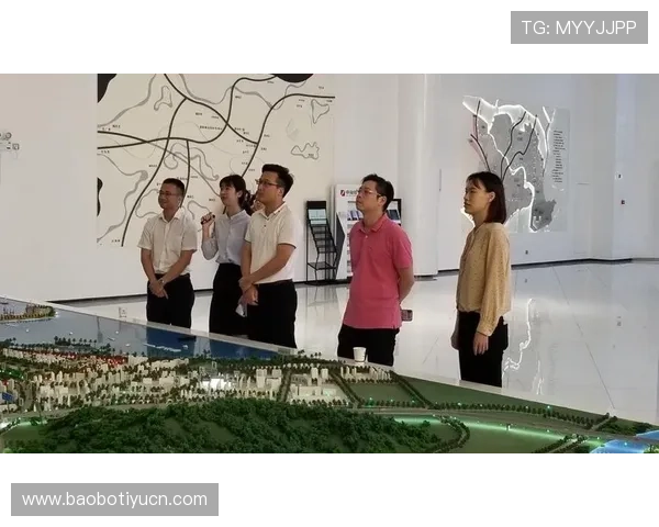 欧博集团网址访问速度优化及稳定性提升建议